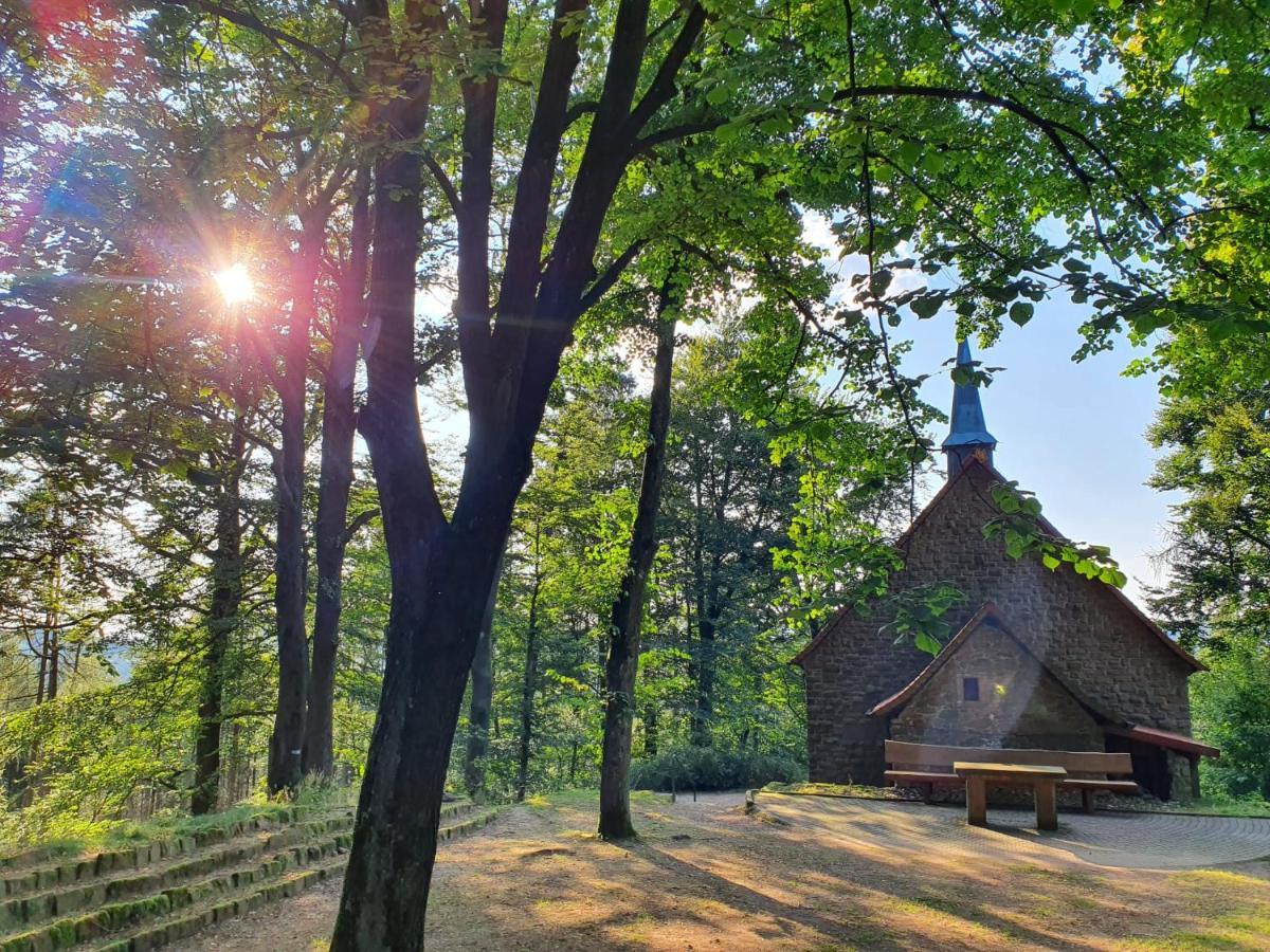Odenwald-Lodge mit Infrarotsauna im Naturpark Odenwald Reichelsheim Exterior foto