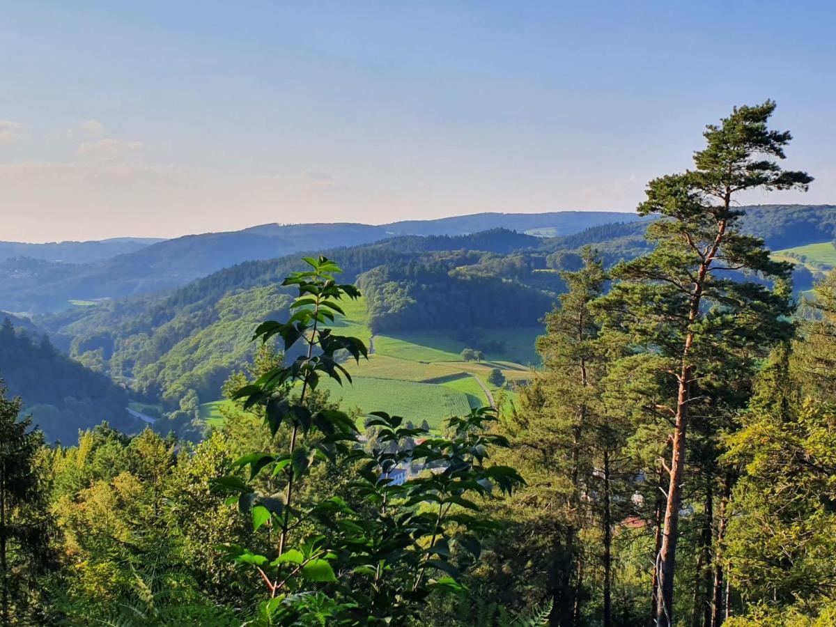 Odenwald-Lodge mit Infrarotsauna im Naturpark Odenwald Reichelsheim Exterior foto