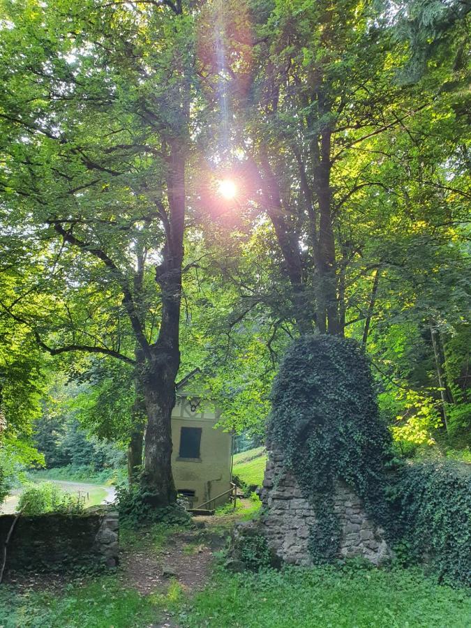 Odenwald-Lodge mit Infrarotsauna im Naturpark Odenwald Reichelsheim Exterior foto