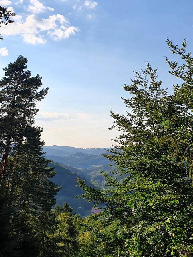 Odenwald-Lodge mit Infrarotsauna im Naturpark Odenwald Reichelsheim Exterior foto