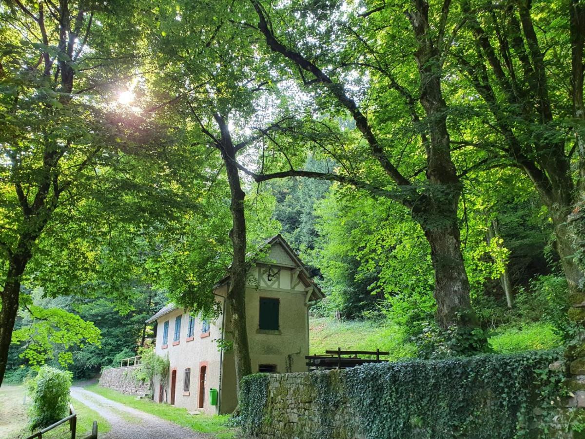 Odenwald-Lodge mit Infrarotsauna im Naturpark Odenwald Reichelsheim Exterior foto