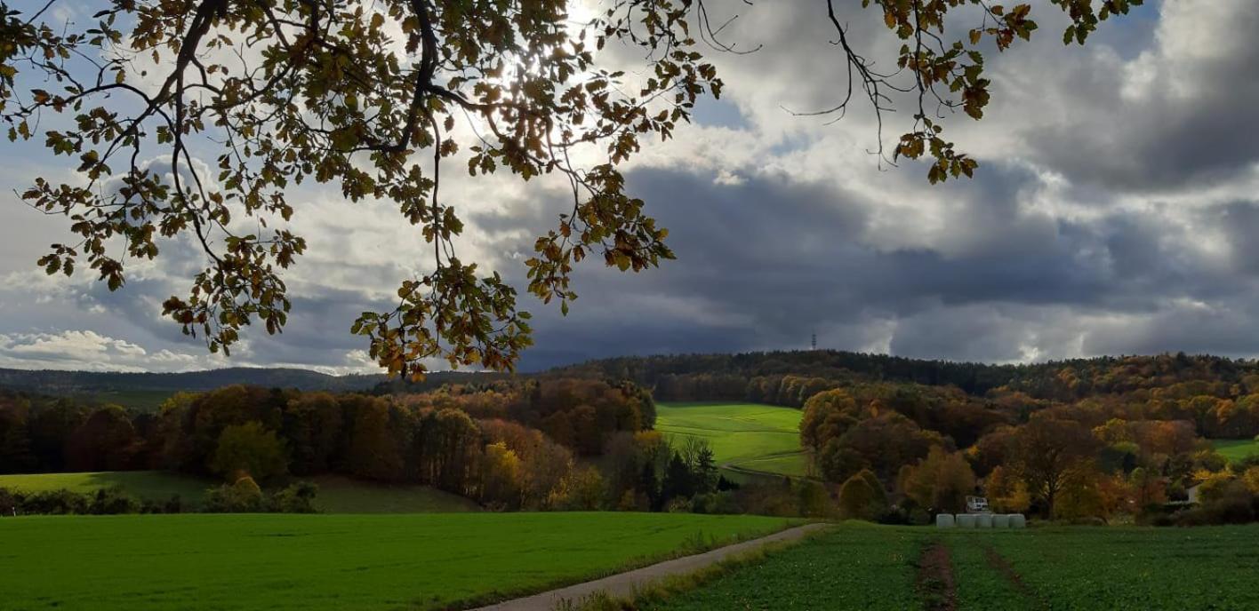 Odenwald-Lodge mit Infrarotsauna im Naturpark Odenwald Reichelsheim Exterior foto