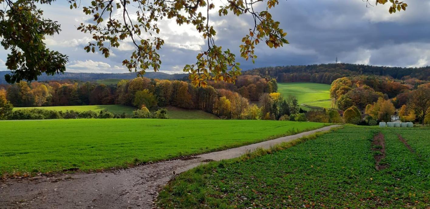Odenwald-Lodge mit Infrarotsauna im Naturpark Odenwald Reichelsheim Exterior foto